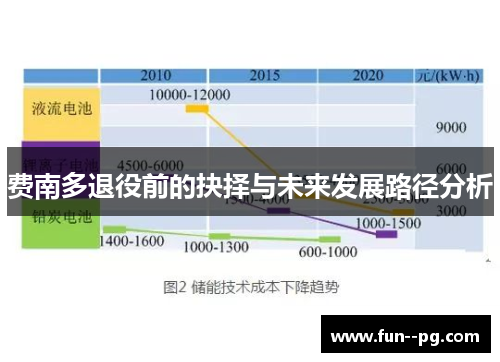 费南多退役前的抉择与未来发展路径分析